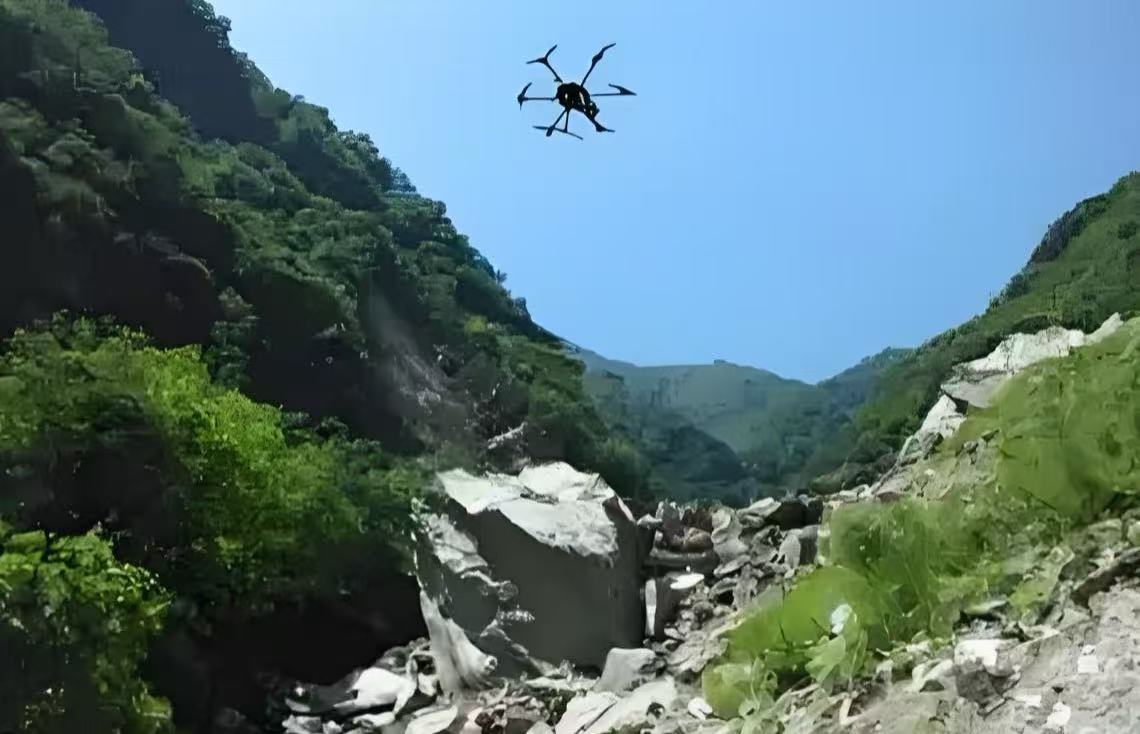 设计阶段